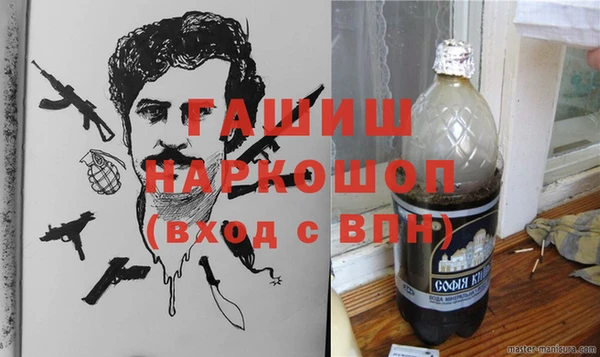 гидра Богданович